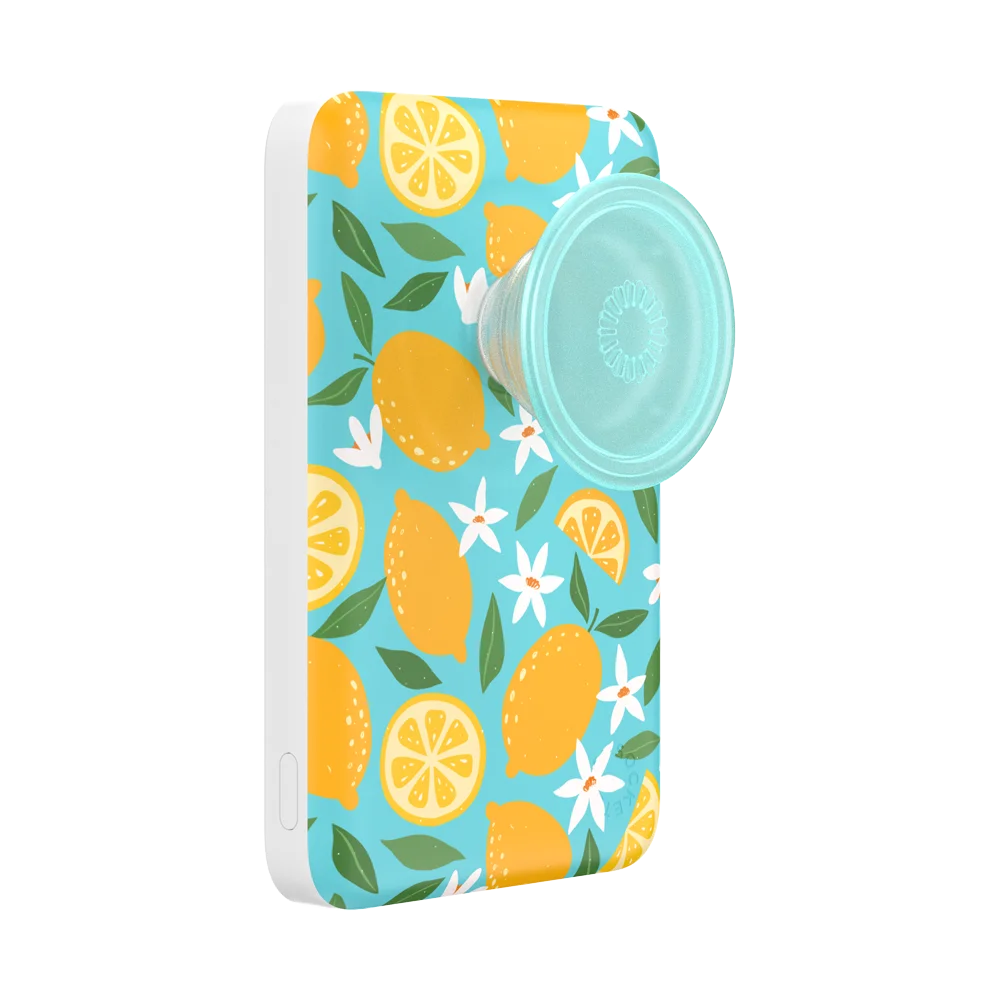 Bodega Powerbank