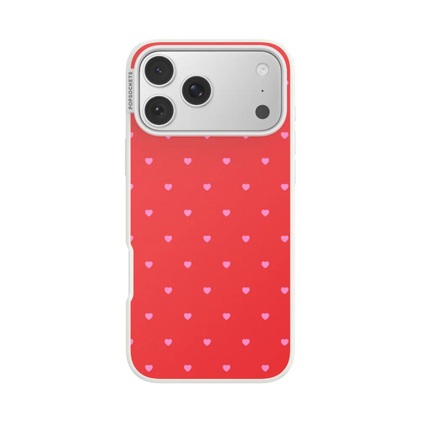 Sweet Spicy Case
